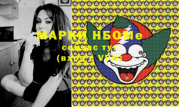 ECSTASY Алзамай