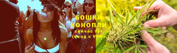 ECSTASY Алзамай