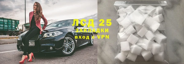 ECSTASY Алзамай