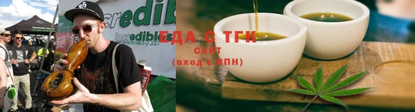 ECSTASY Алзамай