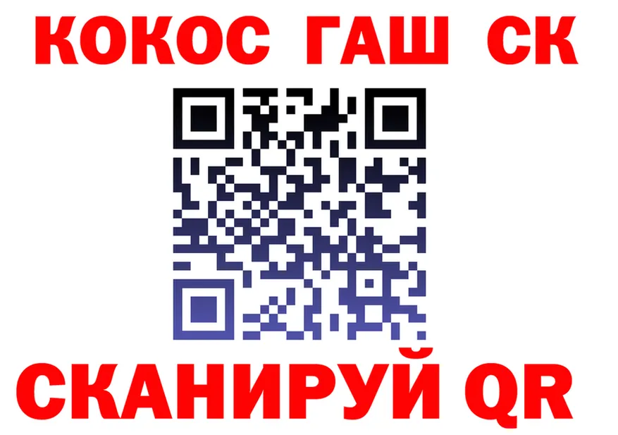 ТГК концентрат маркетплейс маркетплейс MEGA Евпатория