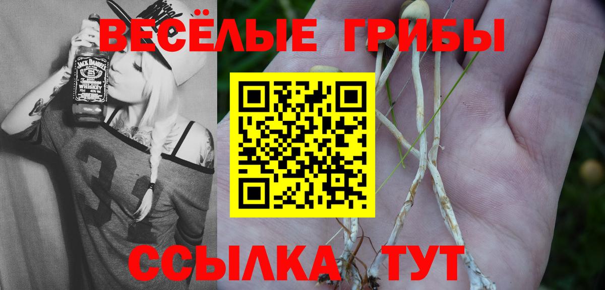 Евпатория  Псилоцибиновые грибы ЛСД  Вход с VPN  Галлюциногенные грибы мухоморы 